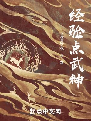 神武端游经验上限
