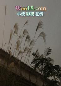 隐秘的角落在线观看完整版电视剧
