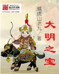 大明之宝箱系统求资源