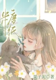糖纸甜品是哪里的公司