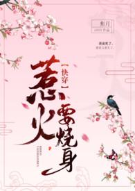 惹火上身全文免费晋江