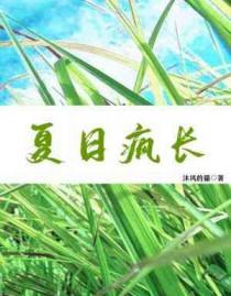 夏日疯长by沐风的猫笔趣阁