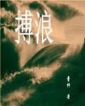搏浪者650哪家好