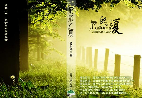 泡沫之夏辰沫甜续文