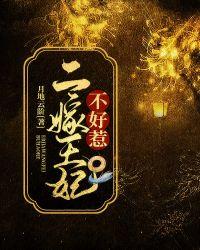 二嫁王妃不好惹续集