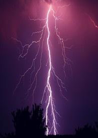 雷禅