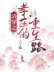 清穿之孝庄的重生路作者大行星