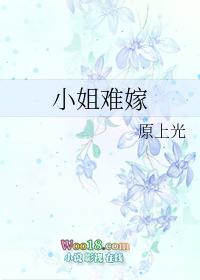 小姐难嫁gl原