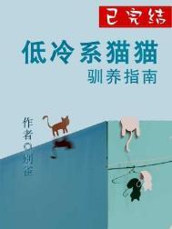 猫系冷受