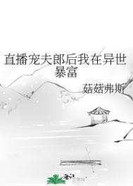 直播宠夫郎后我在异世暴富了