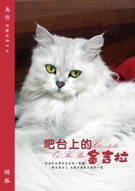 吧台上的金吉拉图片