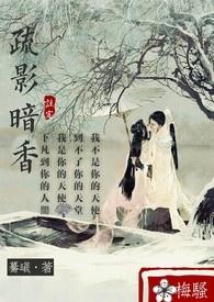 疏影暗香是指什么人