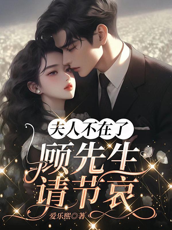 夫人不见了是什么字