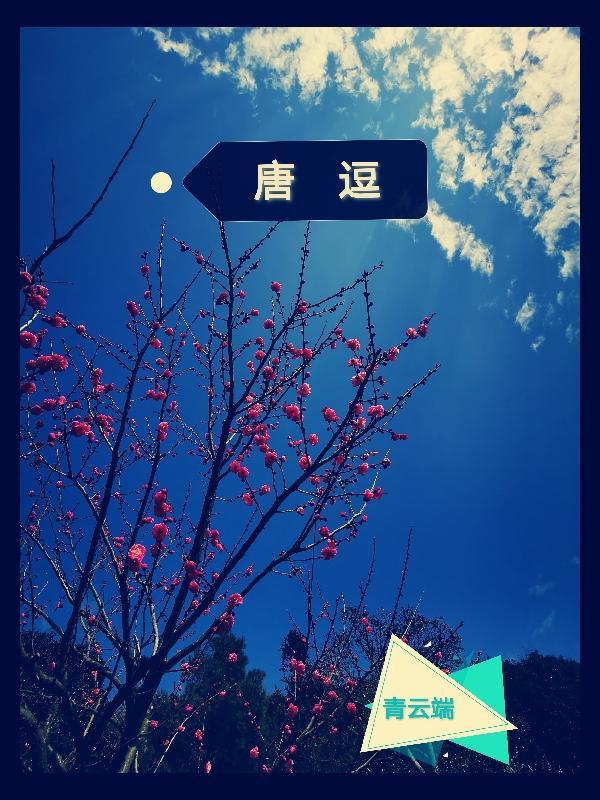 唐豆官方网站