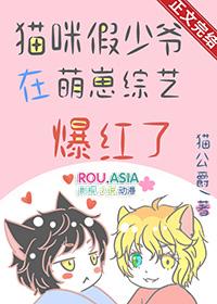 mao假