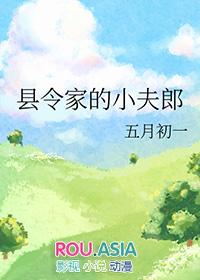 县令家的小夫郎txt