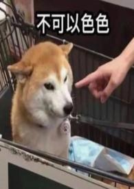 穿成年代文里的恶毒女配(高H)恋曲