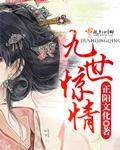 九世情戈