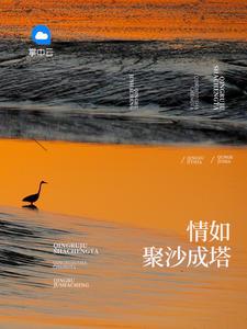 成都聚沙成塔游戏退款