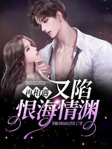再相遇什么歌