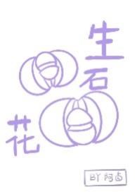 生石花换盆大忌