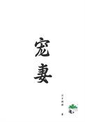 重生宠妻记事