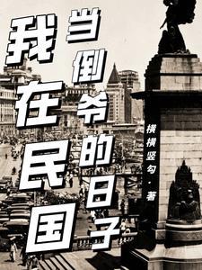 我在民国当倒爷的日子于学