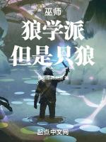 巫师狼学派升级蓝图之三