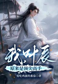 叶辰 顶点