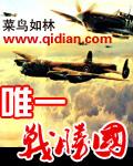 唯一战胜国菜鸟如林