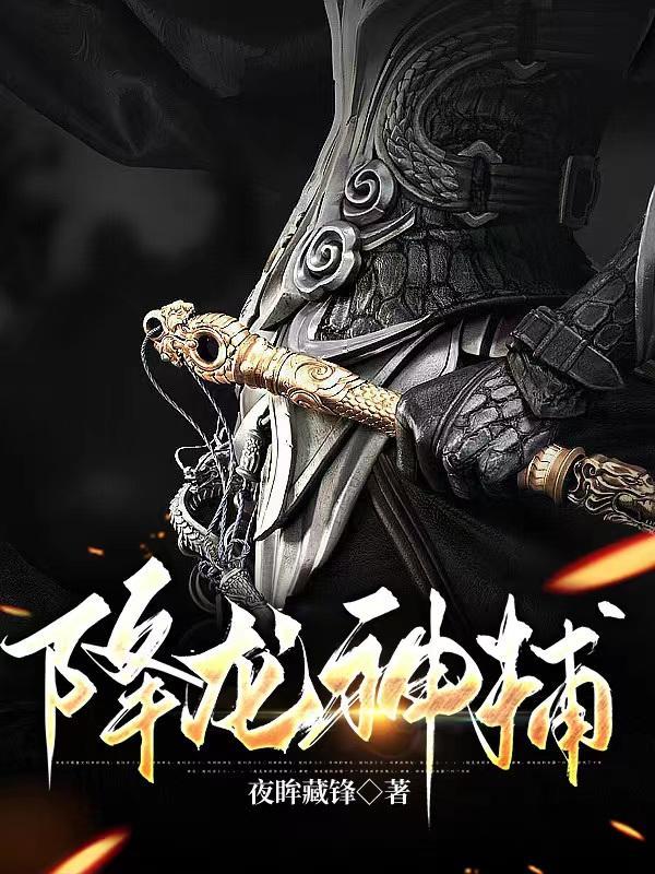 电视剧降龙