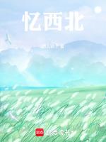 我的阿勒泰讲了什么