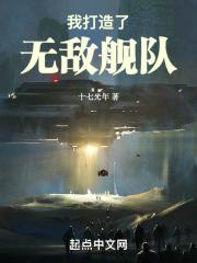 我打造了无敌舰队免费
