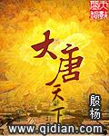 大唐天下模式