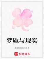 梦魇和梦想