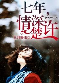 七年情深不见
