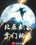 北辰剑宗掌门秘录笔趣阁