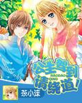 公主驾到完整版