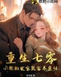 重生七零辣椒小妻