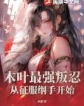 木叶最强叛忍从征服纲手开始