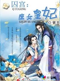 囚妃作者