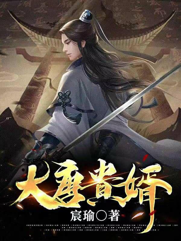 大唐贵婿张小瑜豫章公主
