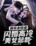 闪婚高冷美女总裁几女主