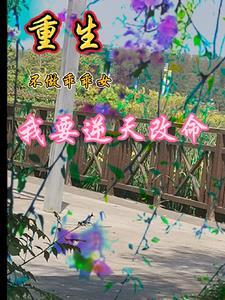重生后才知道自己是炮灰