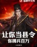 你拥兵百万? 入夜未眠
