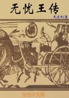 孔雀王朝无忧王
