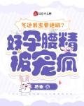 气运男主要绝嗣好孕腰精被宠疯