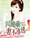 闪婚萌妻不准逃