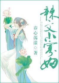 辣文小寡妇原文