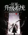 狂暴升级礼包系统